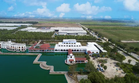 Công ty bò sữa Việt Nam thuộc Vinamilk lọp top tăng trưởng nhanh nhất Việt Nam