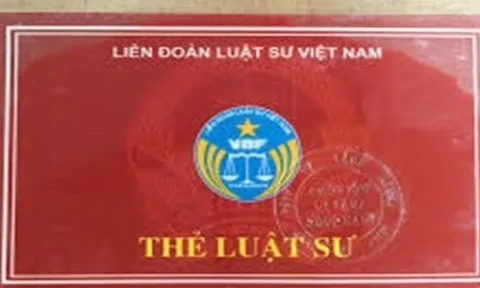 Ông Nguyễn Hữu Linh bị xóa tên khỏi liên đoàn Luật sư?