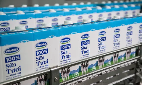 Vinamilk đứng đầu ở cả cả sữa nước và sữa bột trẻ em tại Việt Nam