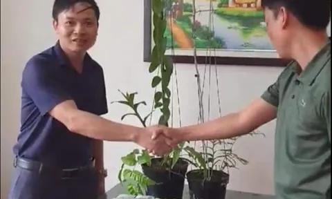 Hé lộ thân thế đại gia Hà Tĩnh chi tiền mua chậu lan giá 3,5 tỷ đồng