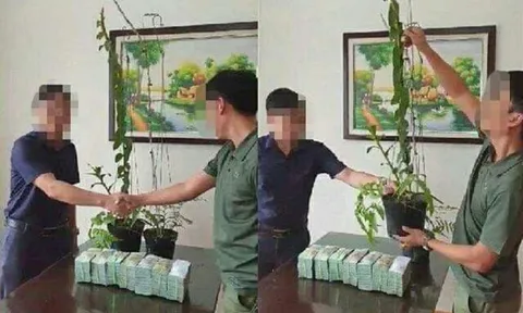 Tiết lộ thêm thông tin về  thương vụ mua bán hoa lan 3,5 tỷ