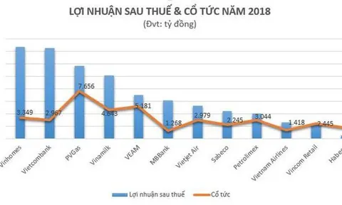 Top các 'ông lớn' chi trả nghìn tỷ đồng cổ tức năm 2018