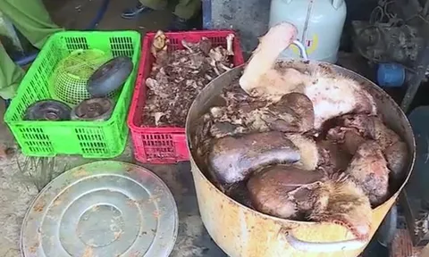 Phát hiện gần 1,5 tấn thịt lợn bốc mùi hôi thối ở Hậu Giang