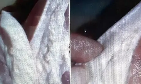 Cà Mau: Phát hiện thêm 2 vụ vận chuyển thịt lợn không được kiểm dịch
