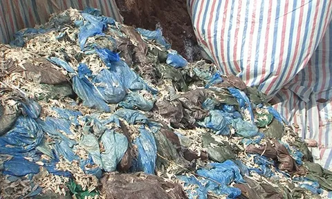 Tiêu hủy 2 container chân gà đông lạnh không đảm bảo, hư hỏng