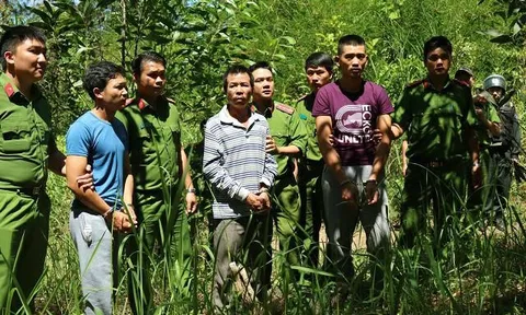 Bất ngờ khi khám xét nhà nghi phạm cầm đầu vụ hạ độc hơn 10 ha rừng thông ở Lâm Đồng
