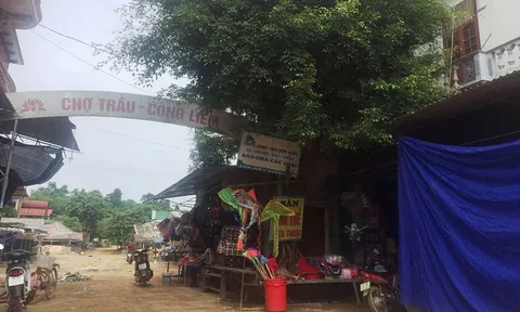 Thanh Hóa: Đâm chết bảo vệ chợ vì bị nhắc nhở về việc để xe sai quy định