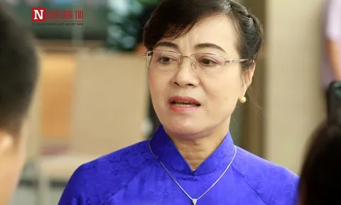 Vụ ông Đoàn Ngọc Hải xin từ chức: Ông Hải từng nhiều lần bị nhắc chuyện dẹp vỉa hè