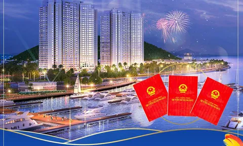 'Phát pháo' đầu tiên thu hồi sổ đỏ thời hạn lâu dài dự án condotel tại Đà Nẵng