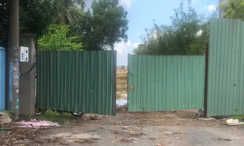 Long Điền, Bà Rịa: CĐT Yeshouse huy động vốn, bán lúa non DA 3S City?