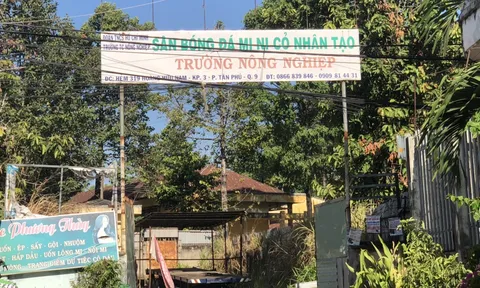 CVP Sở NN&PTNT, TP.HCM: 'Tao bằng bố mày luôn rồi' và xưng hô 'mày, tao' với PV