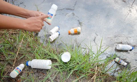 Nhập khẩu thuốc trừ sâu Trung Quốc vào Việt Nam tăng mạnh
