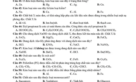Đề thi môn Hóa học THPT quốc gia 2019 chuẩn nhất