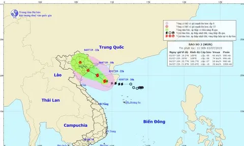 Áp thấp nhiệt đới mạnh thành bão, đi vào đất liền các tỉnh từ Quảng Ninh đến Ninh Bình