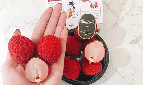 5 triệu đồng một kg vải không hạt Nhật về Việt Nam