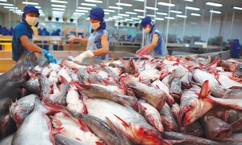Dự báo xuất khẩu thủy sản sẽ tiếp tục giảm nửa cuối năm 2019