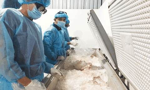 Hơn nửa tấn thịt lợn nhiễm tả lợn châu Phi vẫn có dấu kiểm dịch như thường