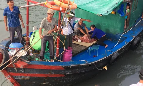 Tìm được thi thể cháu bé rơi xuống biển Hạ Long mất tích
