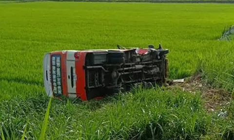 Xe buýt lao xuống ruộng ở Nghệ An, người phụ nữ tử vong tại chỗ