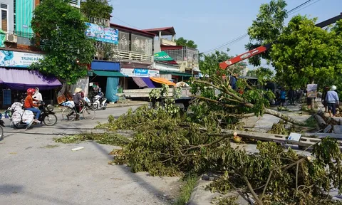 'Cuồng phong' hất tung 230 ngôi nhà, gãy cột điện và cây cối ở Thanh Hóa