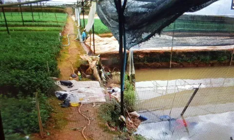 Phát hiện thi thể đôi tình nhân trong tư thế ôm nhau dưới hồ tưới