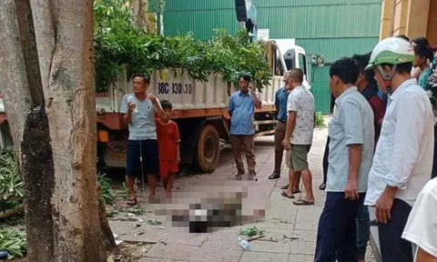 Điều tra nguyên nhân khiến một lao động rơi xuống đất tử vong trong quá trình tỉa cây