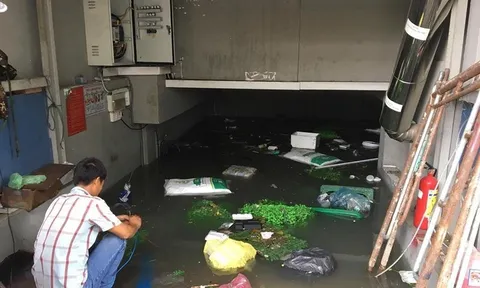 Bộ Y tế khuyến cáo người dân phòng tránh các bệnh dịch mùa mưa bão