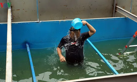 Chuyên gia Nhật Bản tắm mình dưới nước sông Tô Lịch