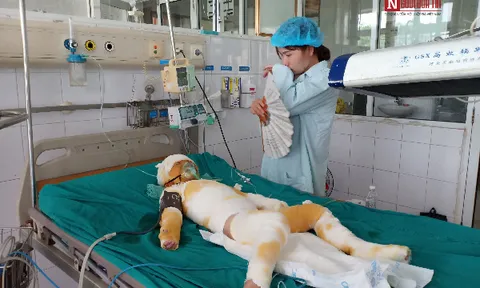 Vụ 3 trẻ mầm non bị bỏng cồn nặng ở Hà Nam: Tiết học kỹ năng sống nằm trong chương trình của Bộ