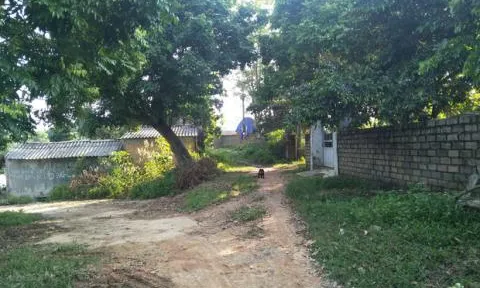 Hai chị em ruột nghi bị 2 người đàn ông thân thiết với gia đình hiếp dâm: Không nhớ bao nhiêu lần