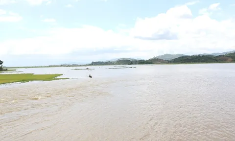 Đắk Lắk: Vỡ đê bao khiến hơn 1.000ha lúa sắp thu hoạch chìm trong biển nước