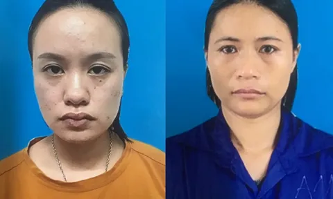 Bắt giữ hai đối tượng trong đường dây tổ chức mang thai hộ