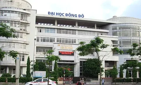 Bộ GD-ĐT khẳng định trường Đại học Đông Đô tuyển sinh và đào tạo 'chui' văn bằng 2
