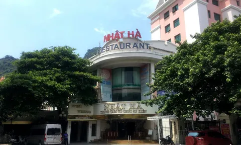 Hạ Long: Công ty Tuyển than Hòn Gai sử dụng đất sai mục đích?