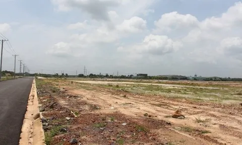 Lộ diện doanh nghiệp hơn 1 tuổi chi 3.000 tỷ gom 92ha đất gần sân bay Long Thành