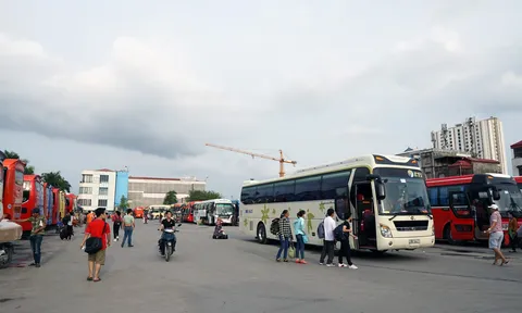 Sẽ thu hồi phù hiệu các phương tiện vi phạm trong dịp lễ 2/9