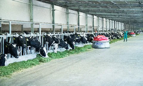 Vinamilk gia nhập 'câu lạc bộ tỷ đô' của khu vực Châu Á Thái Bình Dương