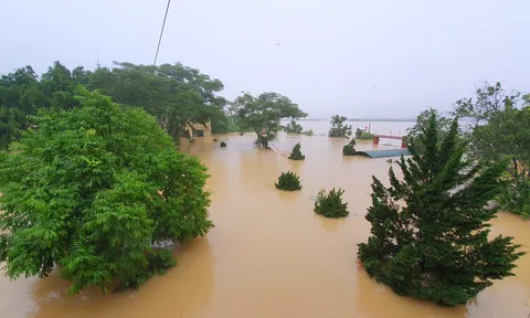 Hà Tĩnh: Rốn lũ Phương Mỹ chìm trong biển nước, người dân lo lắng nhìn nước dâng cao tứ bề