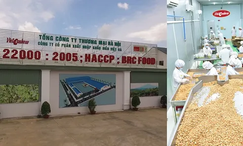 Hapro – Công ty xuất nhập khẩu chủ lực của tập đoàn BRG đạt danh hiệu doanh nghiệp xuất khẩu uy tín năm 2018