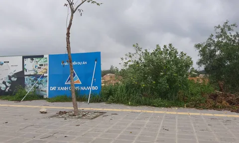 Bà Rịa, Vũng Tàu: Xuất hiện nhiều dự án 'ma' do sức nóng của thị trường BĐS
