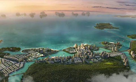 BIM Land nhận khoản vốn 87,5 triệu USD từ tổ chức tài chính quốc tế IFC