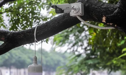 Công ty JVE lắp đặt thêm camera theo dõi sau vụ cá Koi chết trên sông Tô Lịch