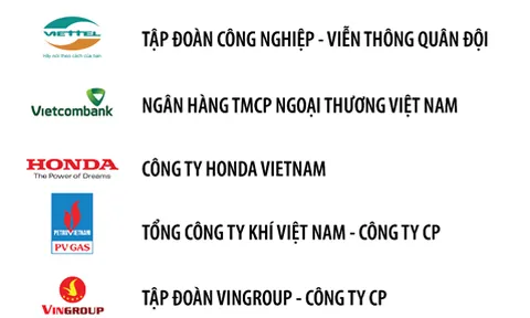 Techcombank là ngân hàng duy nhất có mặt trong top 3 doanh nghiệp tư nhân có lợi nhuận tốt nhất năm 2019
