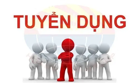 Chuyên trang Pháp luật Net tuyển dụng phóng viên