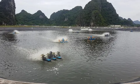 Đầm ông Lạng - trung tâm của thủ phủ nuôi tôm Phía Bắc