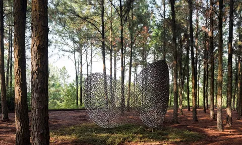 Triển lãm Art In The Forest 2019: Tự hào nửa thập kỷ kiến tạo nghệ thuật