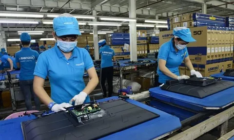 Vợ Shark Tam cùng người lao động của Asanzo rút hơn 500 tỷ tiền trốn thuế như thế nào?