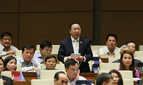 ĐBQH Lưu Bình Nhưỡng: Nhiều cán bộ sẵn sàng 'hy sinh đời bố để củng cố đời con'