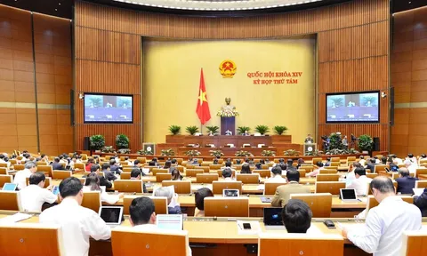 Hôm nay 5/11, Quốc hội thảo luận về dự án Luật Thư viện