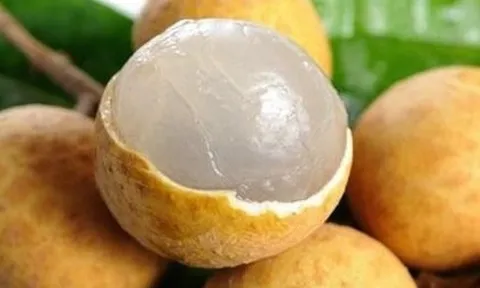 Nghệ An: Bé trai 2 tuổi tử vong do hóc hạt nhãn
